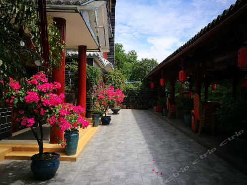 2021 08 15 崇州市街子乡情苑农家乐地址,崇州市街子乡情苑农家乐电话,崇州市街子乡情苑农家乐图片 360地图