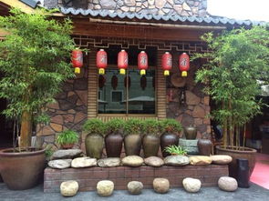 周娟 辞去事业单位工作创建农家乐,收入数十万