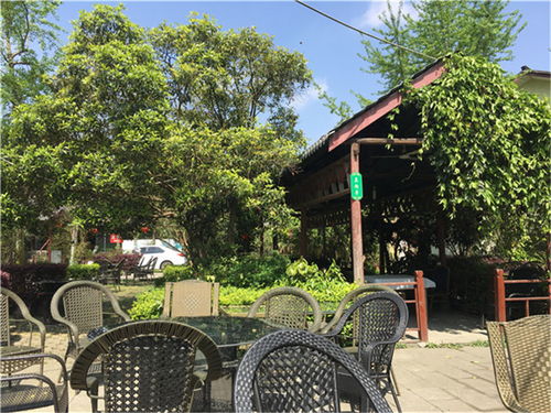 值得推荐的团建场地,就在这家三圣乡农家乐