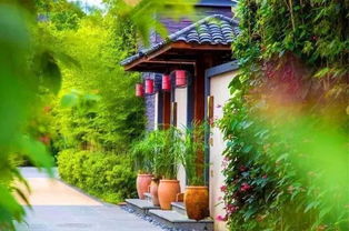 在农村 农家乐 日渐衰落,却悄然兴起4种新模式,收益也很可观