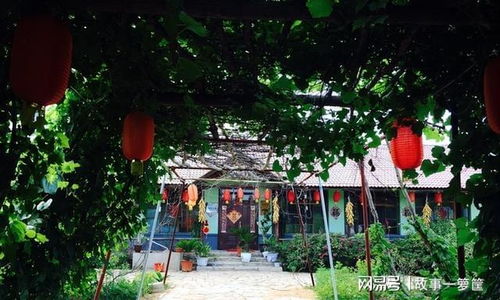 曾经火爆的农家乐,为何现在无人问津了,问题出在哪