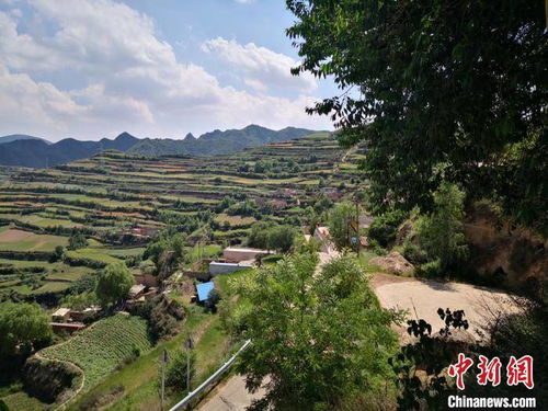 兰州近郊村落撂荒地辟致富新源 探 智汇游 呈深闺特产