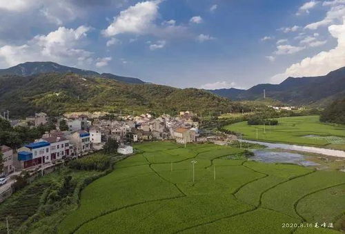 山环水抱柳丝荡,上湾人家画里藏