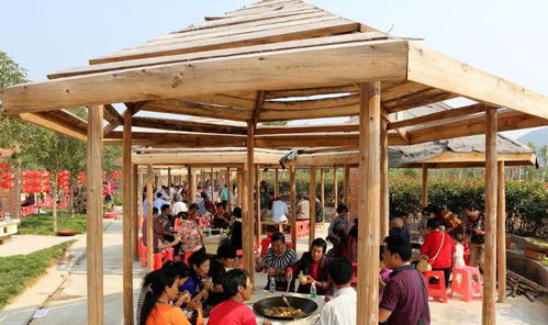 农村 农家乐 被冷落,农民经营饭店的痛点何在