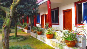 郫县20亩农家乐 出租