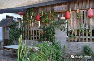 搞个小型农家乐需要投资多少