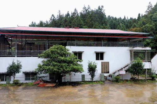 一片茶叶带动67户贫困户增收脱贫