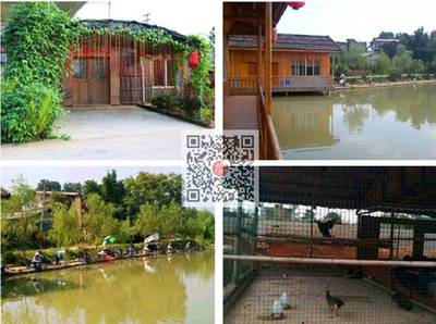 桂林星级农家乐都在这了,桂林人聚会的最佳之选!