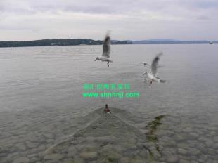 上海松江农家乐旅游推荐 别有滋味_农副产品_世界工厂网