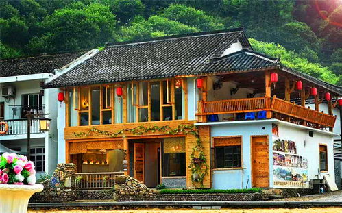 免费案例大揭秘,一招救活一个农家乐,活鱼免费抢