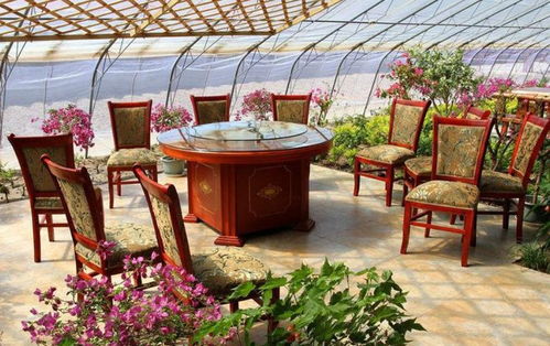 曾经红红火火的农家乐为何衰退了