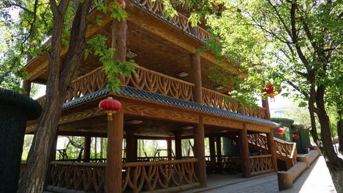 关注丨这些农家乐被评为 宁夏十大旅游特色农家乐