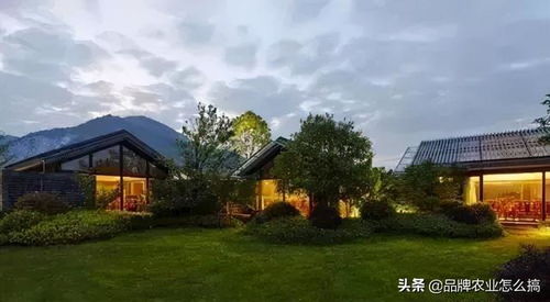 从 农家乐 到 新型创意农庄 ,乡村产业升级的机遇来临