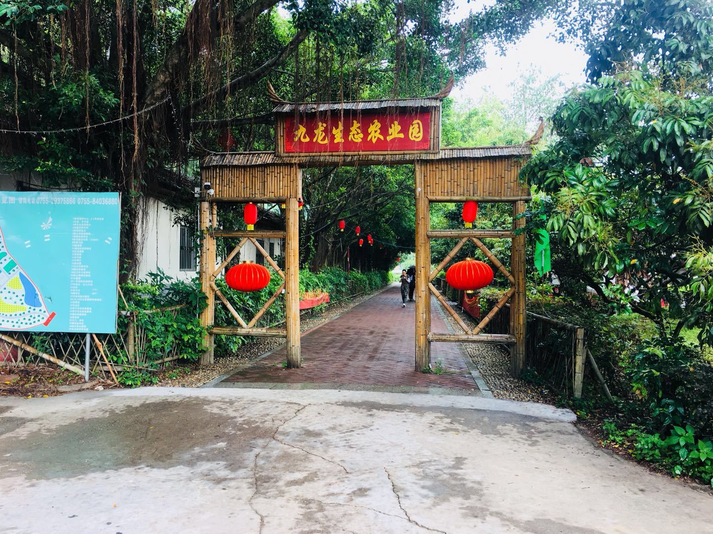 深圳环境最好的农家乐，知道就算你牛!