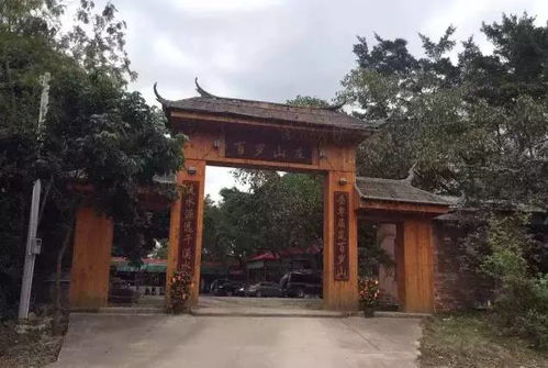 终于找全了杭州人最爱去的农家乐 垂钓划船 摘菜做饭...像到了另一时空