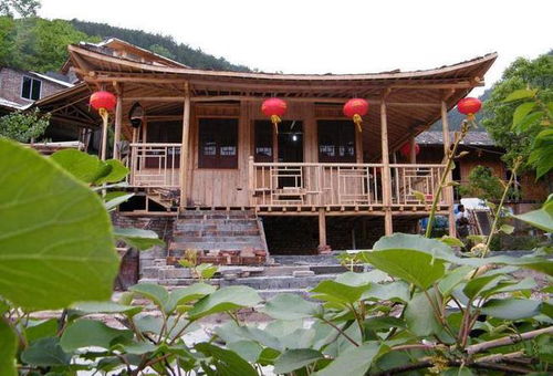 农家乐为什么很少有回头客,是因为宰客吗 城里人 体验过就懂了