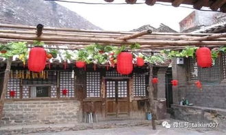 如果你在农村有个院子 千万不要荒废了