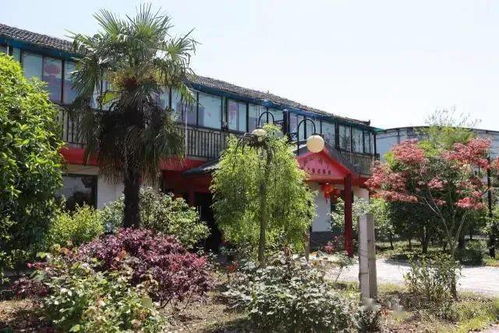 肥西星级农家乐推荐一一摘果东篱下,又得半日闲