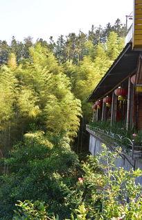 宁德这里竟有这么多特色农家乐,第一家开了15年,看了就好想去