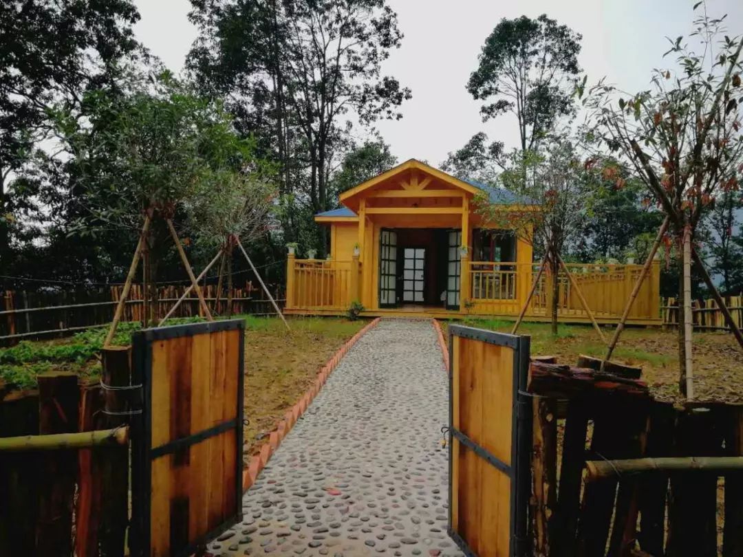 探访全国森林小镇碧峰峡镇的生态故事