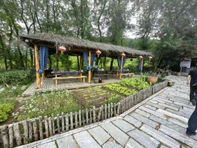 特色农家乐 让小村庄变了模样