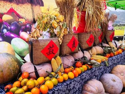 赶赴夏之约,来磐安寻找美食、音乐还有远方的田野.