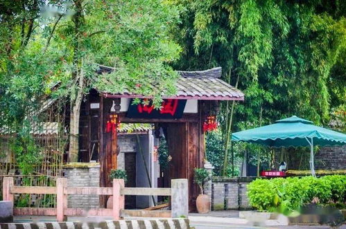 美爆 都江堰这两处稻田,绝美秋色已上线