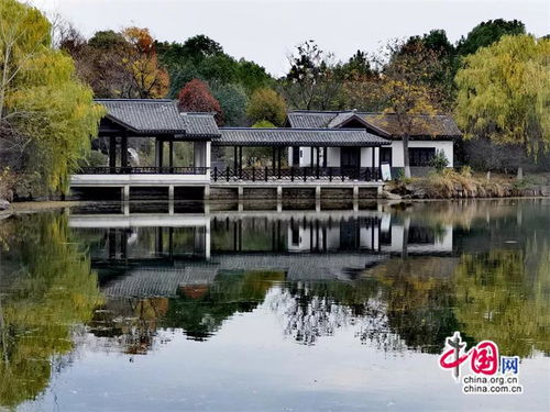 高舜礼 农文旅融合发展的成败之道 组图