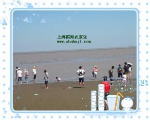 上海近郊农家乐旅游 体验农家生活 采摘草莓 钓鱼_农副产品_世界工厂网