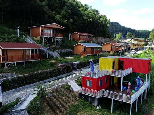 红色高桥丨2020年农业产业发展图景