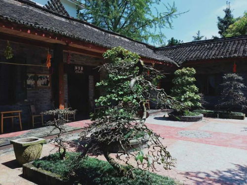 中国十大名村 农科村第4次创业,以整村运营结束老旧农家乐时代