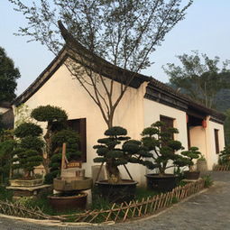 南通江海一锅山村农家乐攻略,江海一锅山村农家乐特色菜推荐 菜单 人均消费 电话 地址 菜系 点评 营业时间