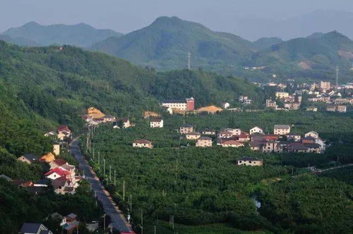 湖州两地入选浙江首批民宿农家乐改革试点，为乡村振兴注入新活力