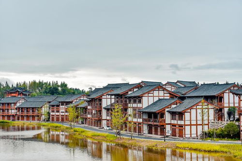 别劝了，我已彻底拉黑农家乐