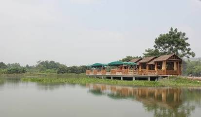 广西71家农家乐获“金绣球”奖，南宁市13家上榜