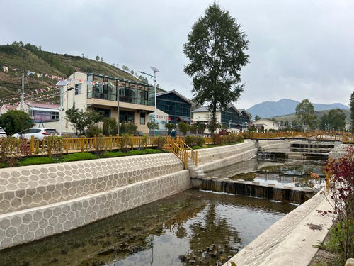 穷沟沟变身金窝窝，生态旅游擦亮青海大通绿色发展底色