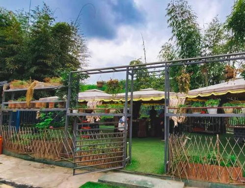 农家乐推荐丨暑期进入尾声，再不耍就没时间啦！