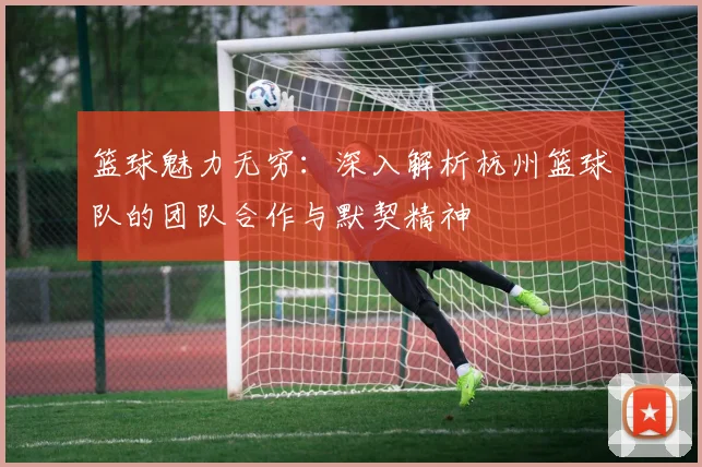 篮球魅力无穷：深入解析杭州篮球队的团队合作与默契精神