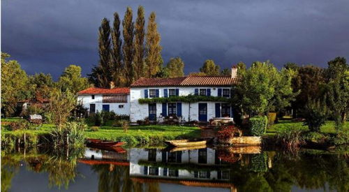 农家乐变成了 农家伤 ,曾经火热无比,如今为何无人问津