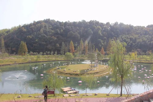 从负债150万到资产一个亿神反转