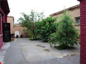 阿拉善农家有约农家乐全部点评 酒店街