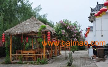 合肥农家乐攻略 探寻最佳体验农家生活的胜地